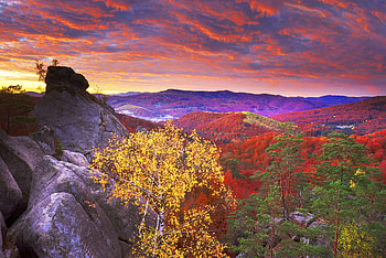 Carpathians Rocks,Ukraine, dawn, trees, sky, nature, mountains, rocks, forest HD wallpaper
