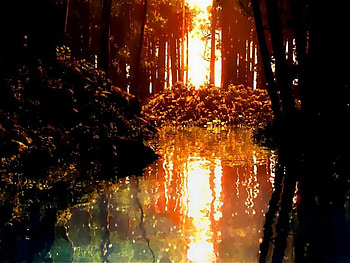waters, nature, practice pic, 3d, dark HD wallpaper