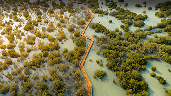 Jubail Mangrove Park Dubai, dubai, world, nature, drone-view HD wallpaper