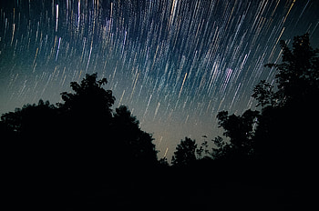 Trees, Night, Dark, Starry Sky, Long Exposure HD wallpaper