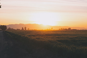 Nature, Sunset, Grass, Field HD wallpaper