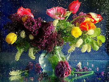Plants, Flowers, Bouquets HD wallpaper