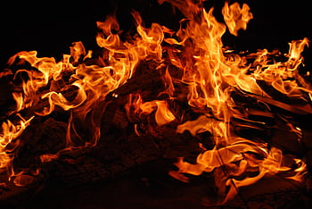Close-up of a blazing bonfire with intense flames against a dark background. HD wallpaper
