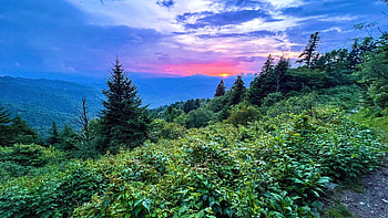 Blue Ridge Parkway, North Carolina, sunset, landscae, hills, clouds, trees, sky, usa HD wallpaper