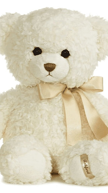 Cute Teddy, Soft, White, Teddy Bear HD phone wallpaper