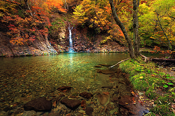 Waterfall, Nature, Japan, Trees, Autumn HD wallpaper