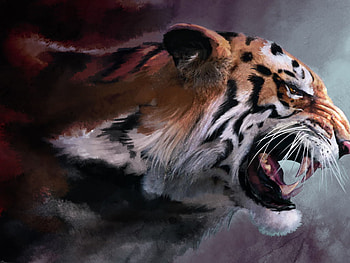 tiger drawing, rendering, tiger, fangs, drawing, , cat, rageanimal HD wallpaper