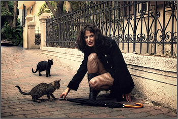 Girl w Cats, cool HD wallpaper