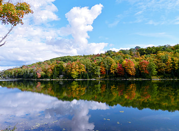 Autumn Shoreline, Reflections, graphy, Forest, Lake, Nature, Autumn, Clouds, Sky HD wallpaper
