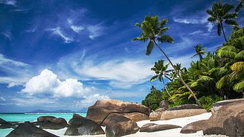 Seychelles Islands, sky, rocks, palm trees, sea, landscape, clouds HD wallpaper