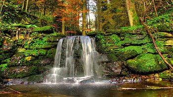 Forest Waterfall, trees, river, rocks, cliff, cascades HD wallpaper