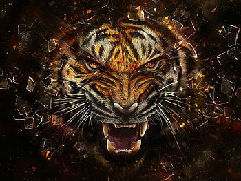 Tiger, tigru, fantasy, art HD wallpaper