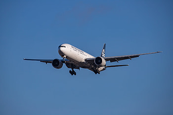 Air New Zealand Group, Chief sustainability officer HD wallpaper