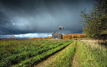 Nature, Grass, Sky, Building HD wallpaper