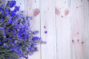 Top view of purple flowers on a light wooden background, offering ample copyspace. HD wallpaper