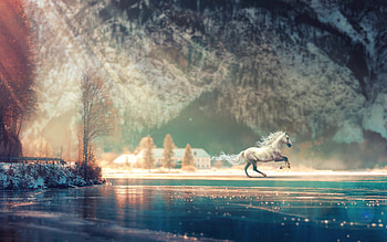 Frozen lake, horse, frumusete, iarna, gorgeous, luminos, lake, winter, frozen, cal, superb HD wallpaper