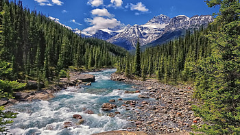 Mistaya River, Banff National Park HD wallpaper