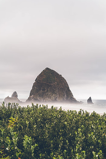 Nature, Mountains, Bush, Rocks, Fog, Mainly Cloudy, Overcast HD phone wallpaper