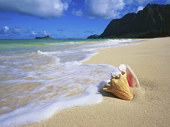 Landscape, Sea, Beach HD wallpaper
