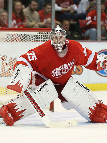 Jimmy Howard , Detroit Red Wings HD phone wallpaper