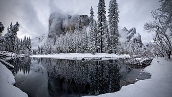 Snow Covered Spruce Trees Mountains With Fog Reflection On Lake Winter HD wallpaper