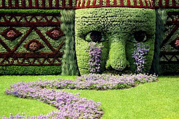 Crying Garden, ladscape, design, flower, crying, face, garden HD wallpaper