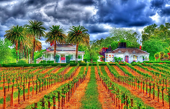 ღ, farm, art, palm trees HD wallpaper
