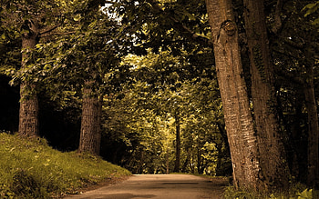 Landscape, Nature HD wallpaper