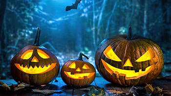 Halloween, bat, Pupmkin, festival HD wallpaper