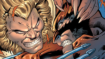 Wolverine vs Sabretooth, Wolverine, Sabretooth (X-Men) HD wallpaper