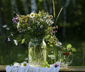 Still life, soft, Flowers, nature HD wallpaper
