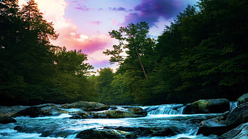 Great Smoky Mountains evening in Greenbrier, river, West Virginia, trees, USA, rocks, stones HD wallpaper