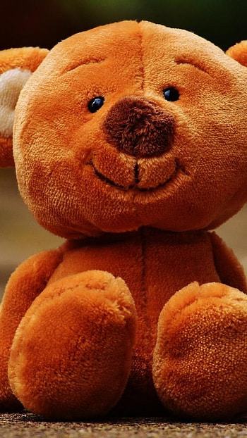 Teddy Bear Ke, Cute Smile HD phone wallpaper