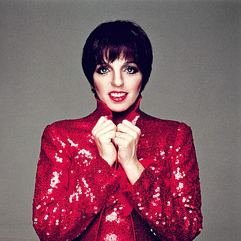 Liza Minnelli, Evolution, Judy Garland, Glitter jacket HD phone wallpaper