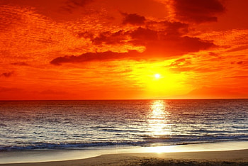 Orange sunset, nature, sunsets HD wallpaper