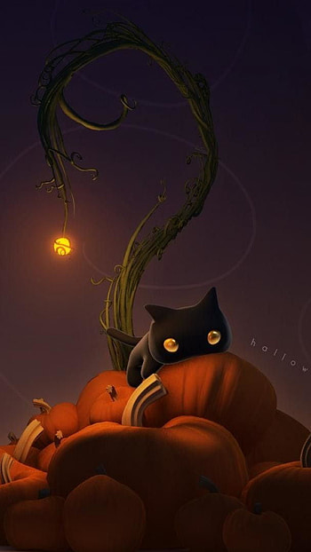 Black halloween kitty HD phone wallpaper