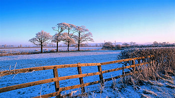 winter in the countryside, winter, trees, sky, fence HD wallpaper