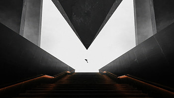 Fearless Dive, artist, artwork, digital-art, deviantart HD wallpaper