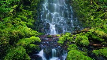 Amazon beauty, escape, Screen's oasis, Digital memories HD wallpaper