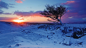 National Park Brecon Beacons, Wales, UK, snow, clouds, colors, landscape, sky, tree, sunset HD wallpaper
