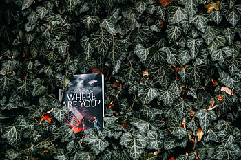 Leaves, Bush, Miscellanea, Miscellaneous, Inscription, Book, Reading HD wallpaper
