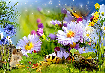 Flowers and bees, flowers, nature, pretty, daisies HD wallpaper
