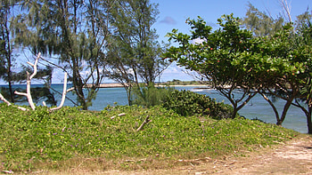 Malekahana Beach Park, island, hawaii, park, beach HD wallpaper