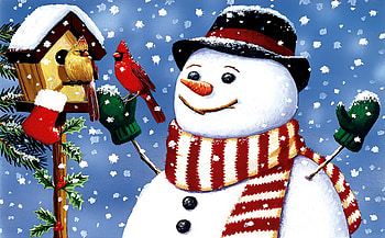 Snowman's birdhouse, birds, christmas, snow, smile, friends, birdhouse, winter, snowman, snowflakes, holiday HD wallpaper