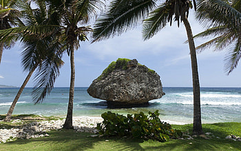 Bathsheba rock, Caribbean islands, Beautiful places, Scenic beauty HD wallpaper