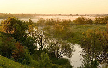 Nature, Rivers, Trees, Fog, Lowland HD wallpaper
