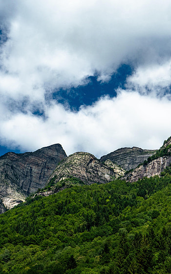 Nature, Trees, Clouds, Bush, Mountain HD phone wallpaper