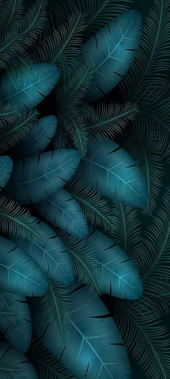 Abstractus, aqua, feather, blue HD phone wallpaper