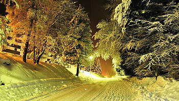 Evening winter road, winter, snow, road, evening, tree HD wallpaper