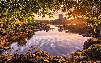 Dunguaire Castle in Ireland, bay, castle, tree, Ireland, sunbeams HD wallpaper